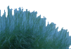 Fű